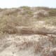 Dunes