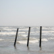 Old posts
