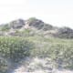 Dunes