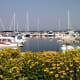 Sister Bay Marina in Sister Bay, Wisconsin - Door County