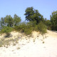 Dunes at c