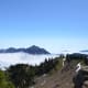 View from above the clouds along the Hurricane Hill Trail at Olympic National Park