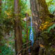Marymere Falls at Olympic National Park near Seattle, Washington