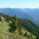 Hurricane Ridge at Olympic National Park in Seattle, Washington