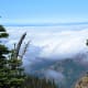 View from above the clouds along the Hurricane Hill Trail at Olympic National Park