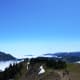 View from the Hurricane Hill Trail at Olympic National Park