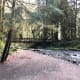Marymere Falls Trail at Olympic National Park near Seattle, Washington