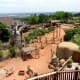 Cheyenne Mountain Zoo in Colorado Springs, Colorado
