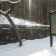 Mary's Rock Trailhead in Shenandoah National Park