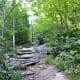 Dark Hollows Falls Trail at Shenandoah National Park