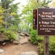 Sign Post of Old Rag Mountain Summit in Shenandoah National Park