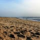 Sandbridge Beach