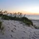 Sand Dunes at False Cape State Park in Virginia Beach, Virginia