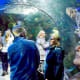 Virginia Aquarium & Marine Science Center in Virginia Beach, Virginia