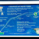 Chesapeake Bay Bridge-Tunnel Map