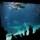 Virginia Aquarium & Marine Science Center in Virginia Beach, Virginia