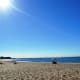 Beach at First Landing State Park in Virginia Beach, Virginia.