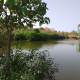 A view of Adyar creek.