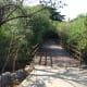 The bridge over the backwater canal inside the Adyar estuary
