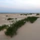 Sand Dunes at Pea Island National Wildlife Refuge on the Outer Banks in North Carolina