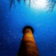 Currituck Lighthouse at night in Corolla, NC on the Outer Banks of North Carolina