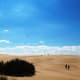 Jockey's Ridge State Park on the Outer Banks of North Carolina