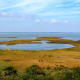 View from the Currituck Lighthouse in Corolla, NC on the Outer Banks of North Carolina