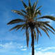 Typical Spanish coastal scene.