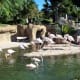 Bio Parc Valencia.