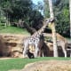 Bio Parc Valencia.