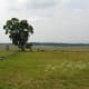 Site of Pickett's Charge, Gettysburg, PA