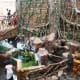 Inside view of VGP Marine Kingdom