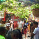 A Sunday morning in Callejón de Hamel.