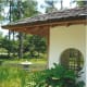 japanese-tea-garden-in-houston-texas-serenity-in-hermann-park