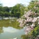 japanese-tea-garden-in-houston-texas-serenity-in-hermann-park