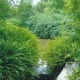 japanese-tea-garden-in-houston-texas-serenity-in-hermann-park