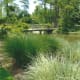 japanese-tea-garden-in-houston-texas-serenity-in-hermann-park