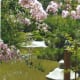 japanese-tea-garden-in-houston-texas-serenity-in-hermann-park