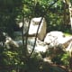 japanese-tea-garden-in-houston-texas-serenity-in-hermann-park