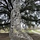 "Tolerance" Sculptures by Jaume Plensa