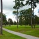 Trails in the park