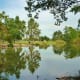 View of the Duck Pond