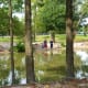 Duck Pond in Meyer Park