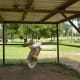 Aviary in Meyer Park