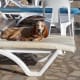 Someone is lying on my sun lounger.