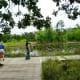 Walking through a wetlands area