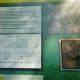 Palmetto info including braille at the Houston Arboretum
