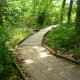 Wooden walkways