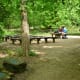 Emmott Circle at the Houston Arboretum