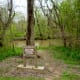 Park Trail